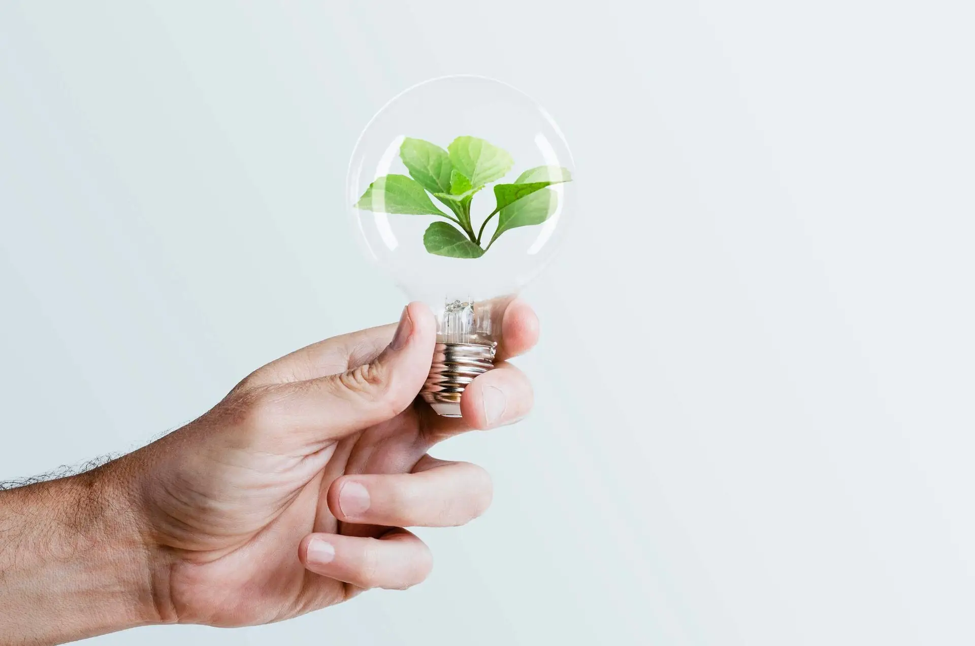 Ahorro-de-energía-y-medio-ambiente