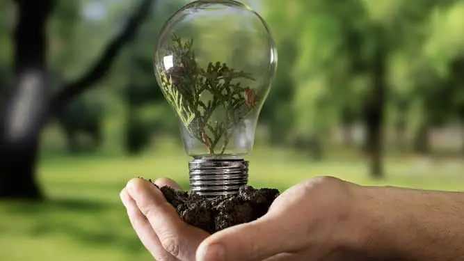 Grupo Acerca Defensores medioambiente bienestar